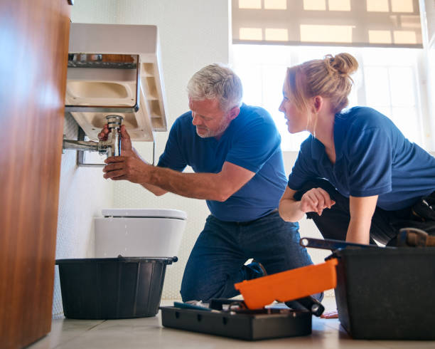 Best Sewer Line Repair  in Wilson, AR
